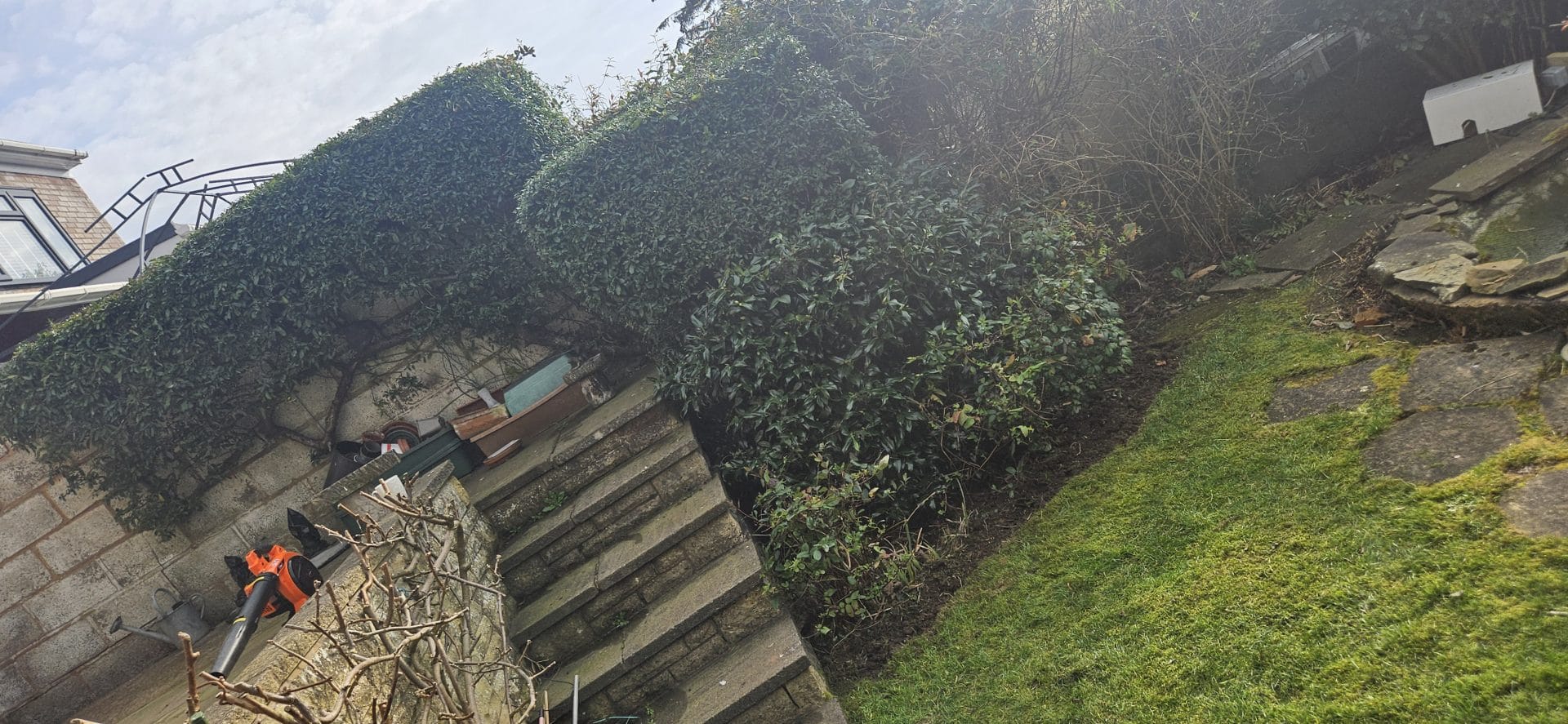 stone paving in garden