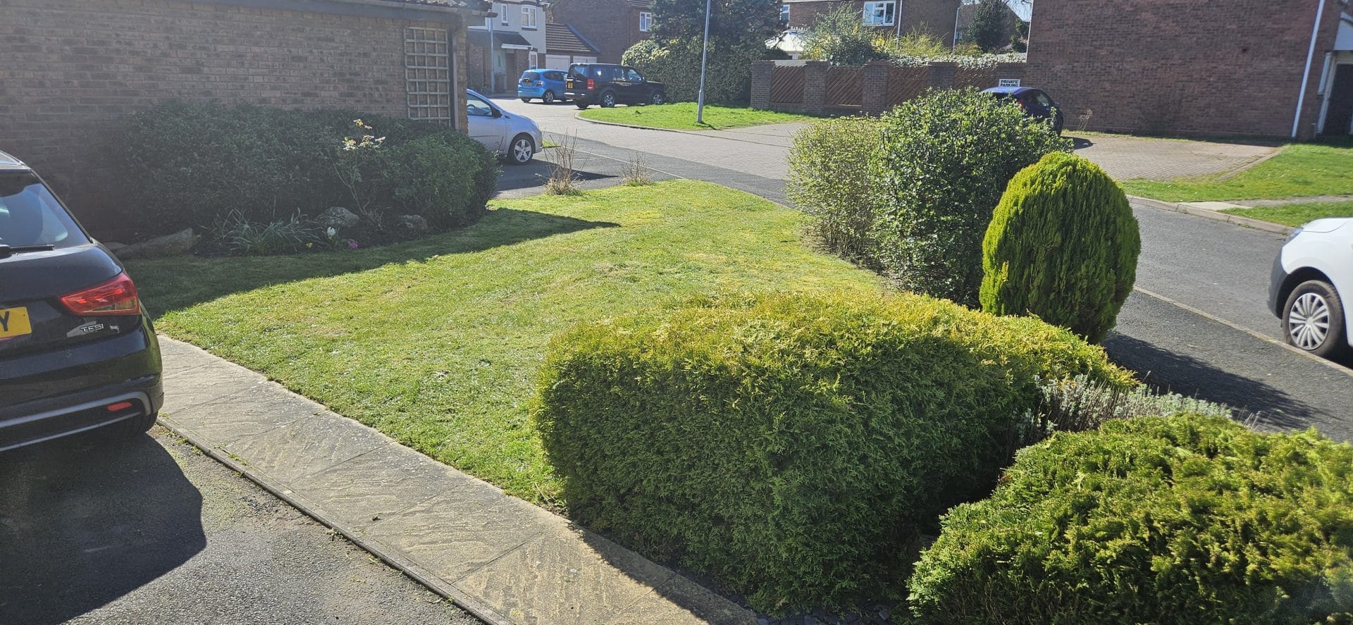 commercial landscaping service