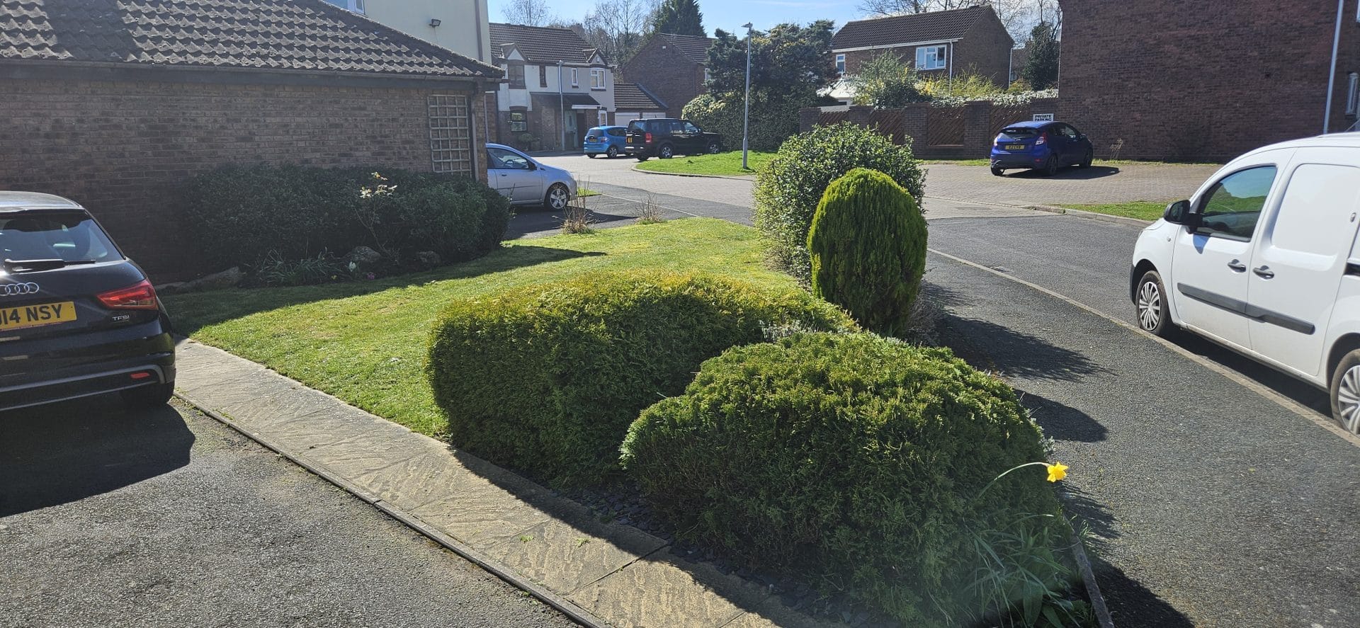 commercial landscaping service