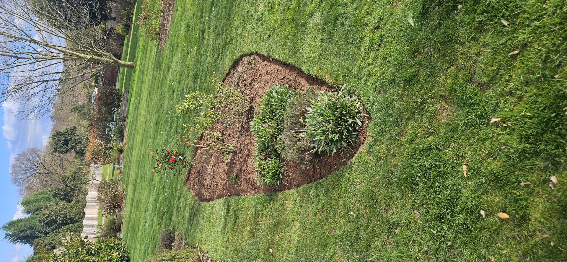garden maintenance Kidderminster