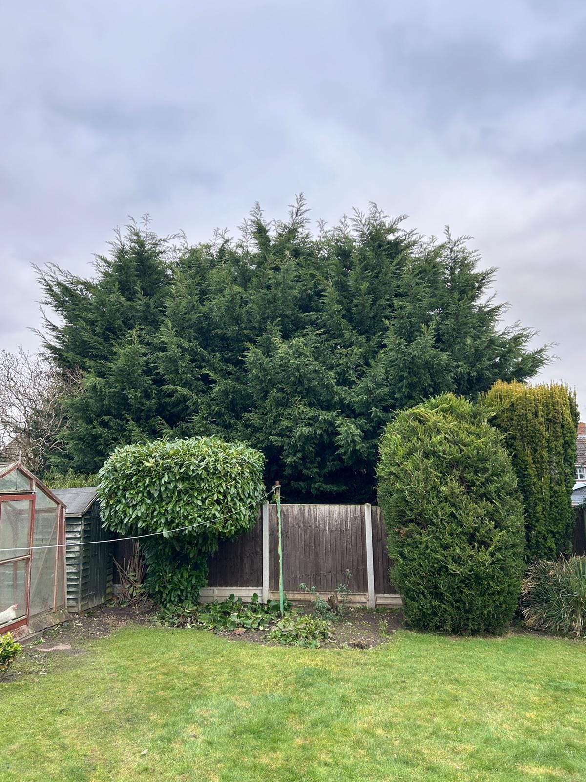 garden maintenance Kidderminster