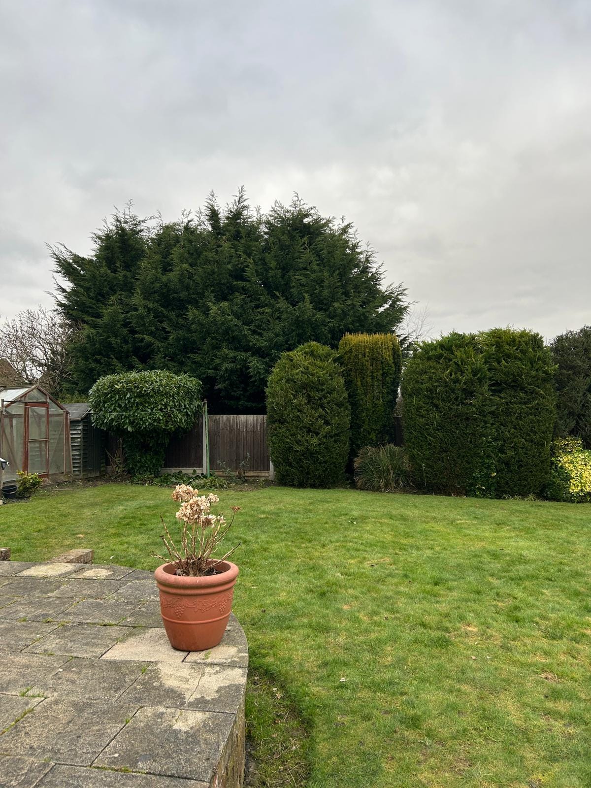 garden maintenance Kidderminster