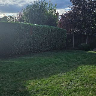 garden maintenance Kidderminster