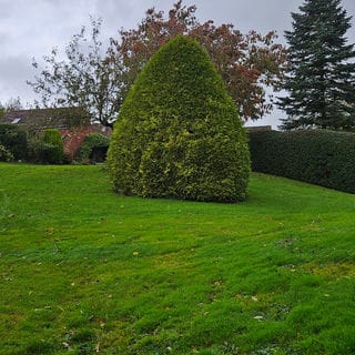 garden maintenance Kidderminster