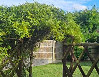 Choosing the Perfect Fence: A Comprehensive Fencing Guide