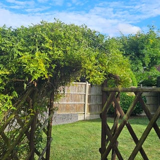 garden maintenance Kidderminster