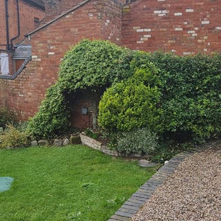 garden maintenance Kidderminster