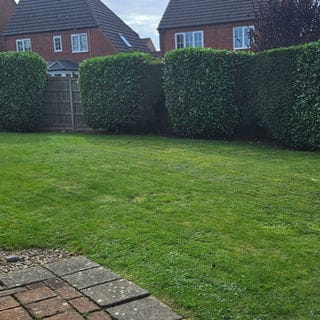 garden maintenance Kidderminster