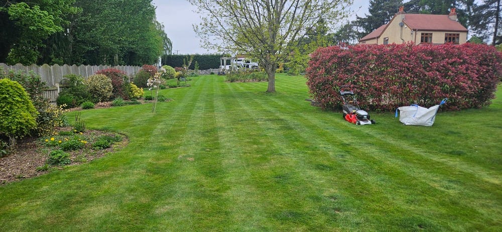 garden maintenance Kidderminster