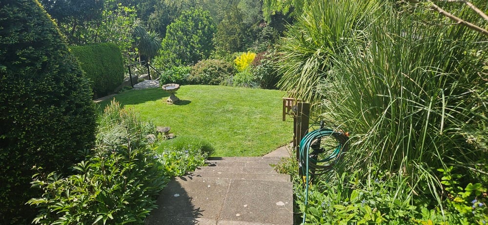 Residential lawn maintenance Kidderminster