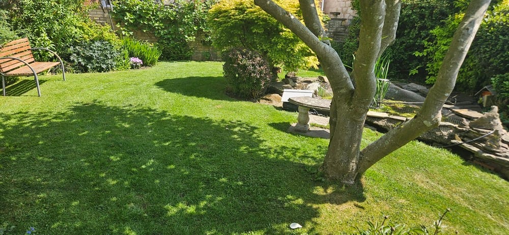 commercial garden maintenance