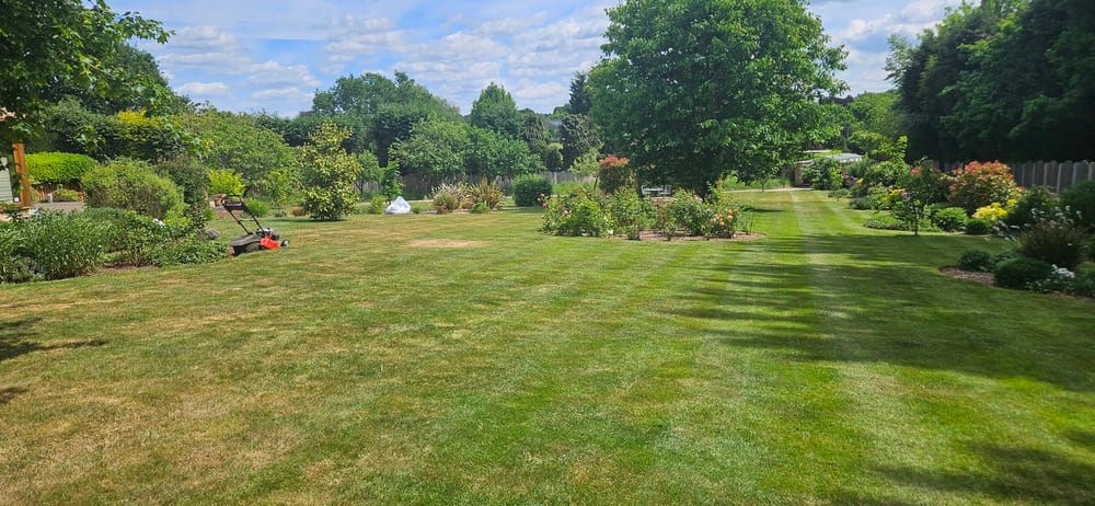 domestic garden care service