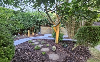 Why Should Homeowners Prioritise Ongoing Garden Maintenance?