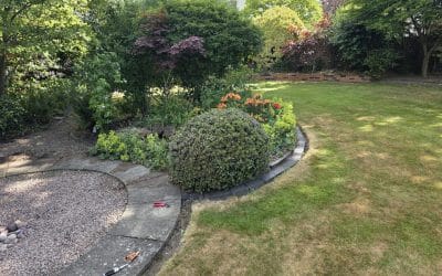 Common Garden Maintenance Mistakes and How Can You Avoid Them