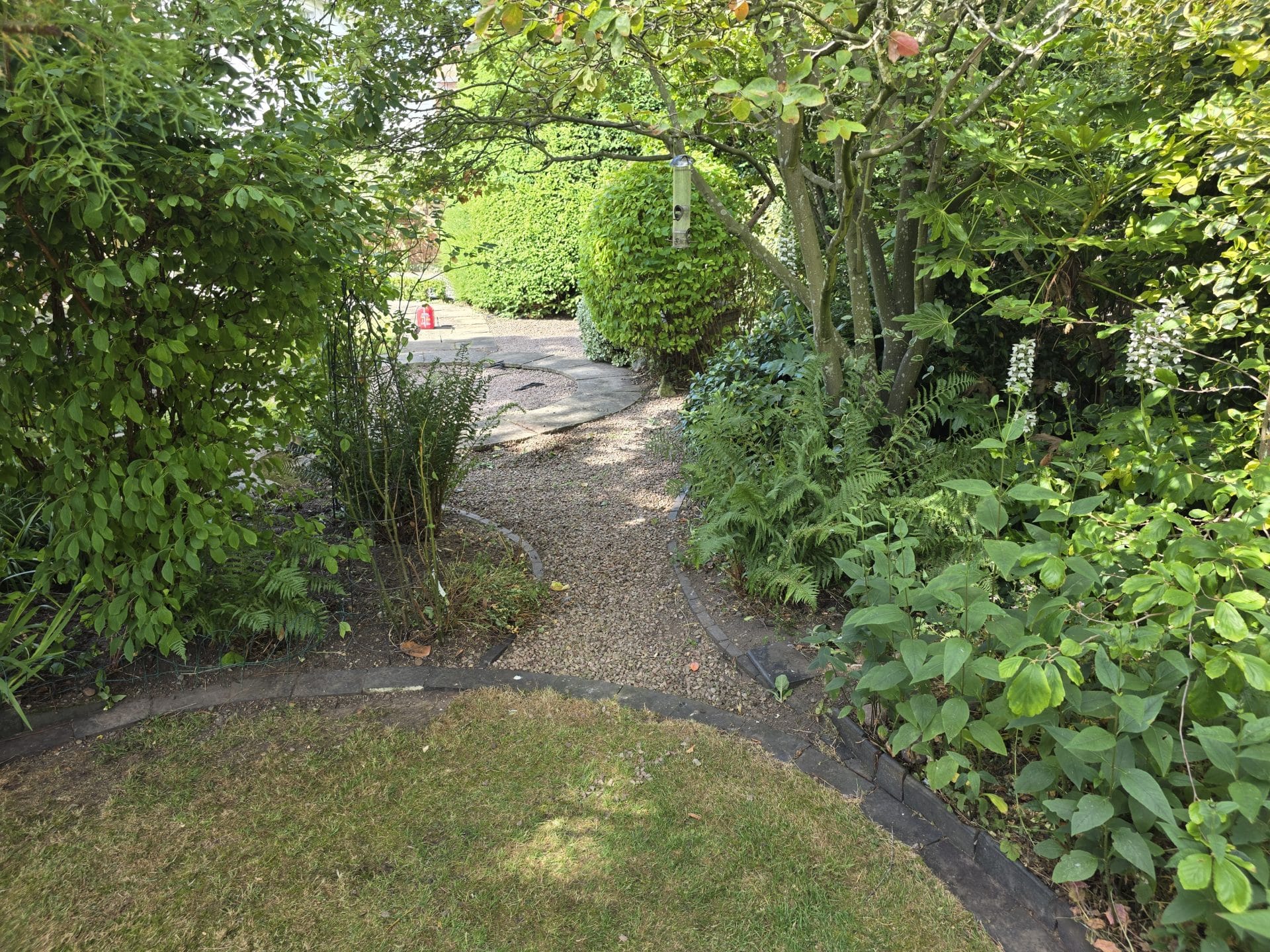 Garden maintenance Worcester – landscaped path with shrubs and greenery.