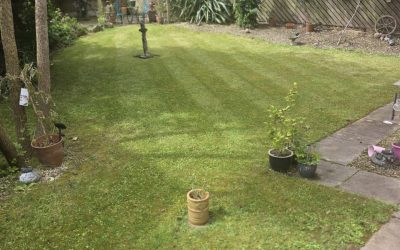How Long Does Garden Fencing Last in the UK? Factors That Affect Its Lifespan
